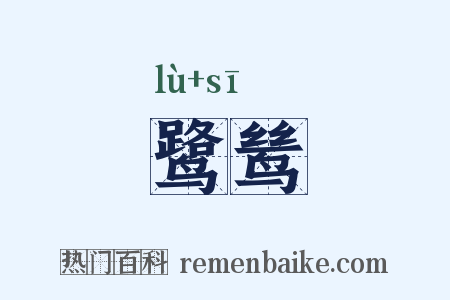 鹭鸶是什么意思的图片